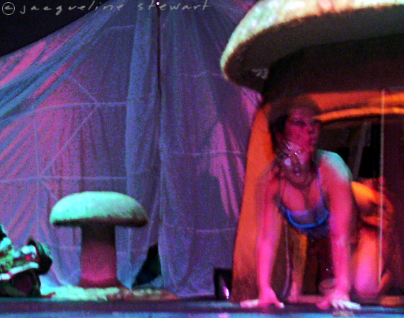 571x450 pixels (103K)