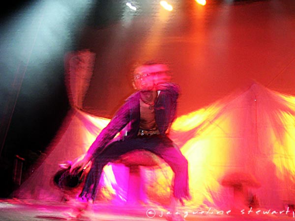 600x450 pixels (40K)