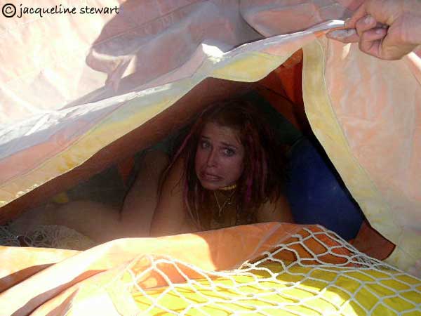 600x450 pixels (27K)