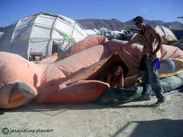 600x450 pixels (34K)