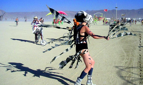 600x356 pixels (52K)