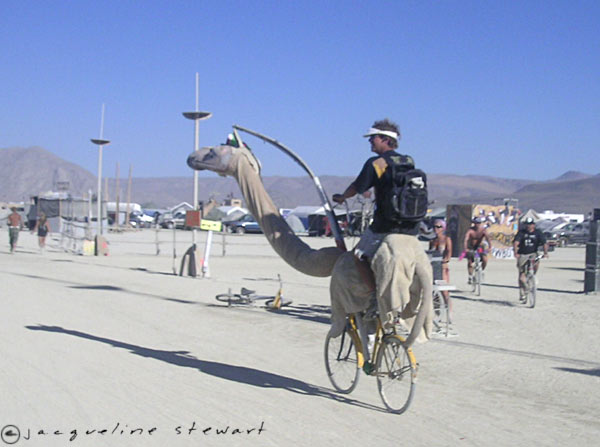 600x447 pixels (44K)