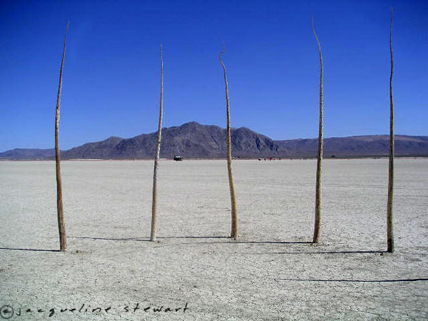 600x450 pixels (60K)