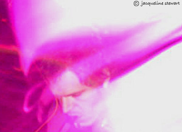 600x434 pixels (25K)