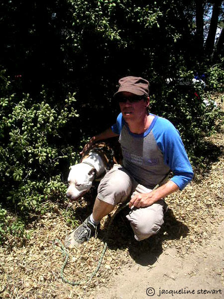 450x600 pixels (101K)