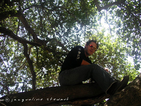 600x450 pixels (175K)