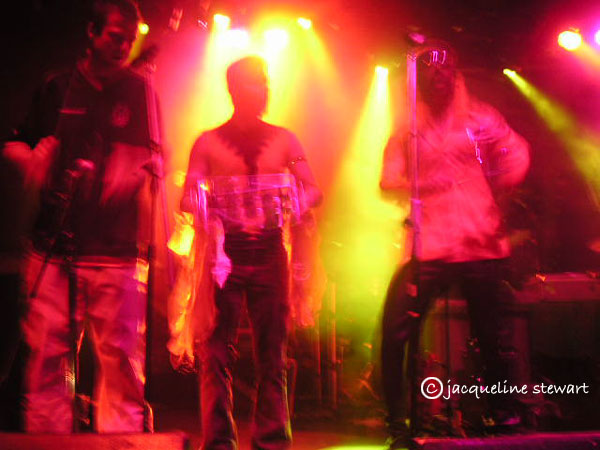 600x450 pixels (55K)