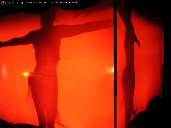 600x450 pixels (48K)