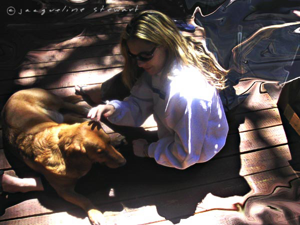 600x450 pixels (185K)