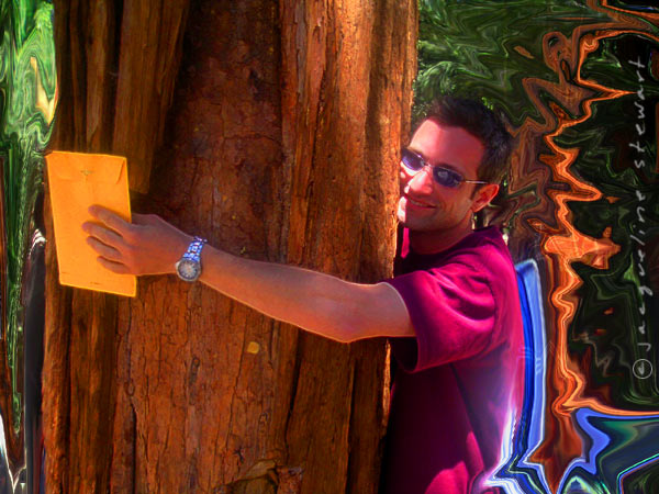 600x450 pixels (78K)