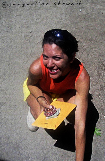 350x533 pixels (53K)